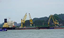 Tai nạn lao động tại huyện đảo Vân Đồn, một công nhân tử vong