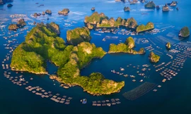 Quảng Ninh xây dựng cơ chế đặc thù cho Vân Đồn