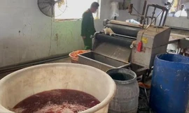 Phát hiện cơ sở chế biến lòng lợn thối 'khủng' do người Trung Quốc điều hành