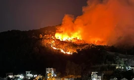 Liên tiếp cháy rừng ở Hạ Long