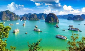 Đi thuyền trên vịnh Hạ Long, Lan Hạ là trải nghiệm thú vị nhất thế giới