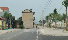 Kỳ lạ ngôi nhà 'mọc' giữa đường ở Quảng Ninh