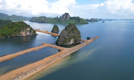 Dự án khu đô thị quây núi đá vịnh Hạ Long làm 'hòn non bộ'