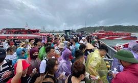 Tạm dừng du lịch biển, tham quan đảo ở Quảng Ninh