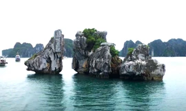 Biểu tượng hòn Trống Mái ở vịnh Hạ Long trước nguy cơ đổ sập