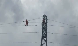 Giám đốc Điện lực Hạ Long bất ngờ bị đình chỉ công tác