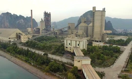 Buộc di dời nhà máy xi măng khu vực vịnh Bái Tử Long