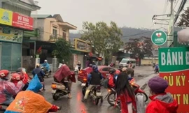 Trâu 'điên' náo loạn đường phố, nhiều học sinh bị thương