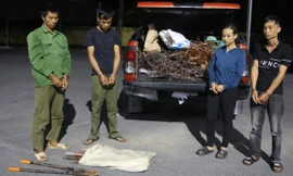 Bắt nhóm trộm cáp ngầm cao tốc Vân Đồn - Móng Cái