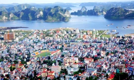 Quảng Ninh khai trừ Đảng loạt cán bộ vi phạm pháp luật