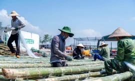 Ngư dân Quảng Yên hối hả đóng bè mới trở lại nuôi trồng thủy sản sau bão