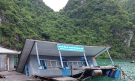 Vụ nhà bảo tồn bị chìm: Ban Quản lý vịnh Hạ Long nói gì?
