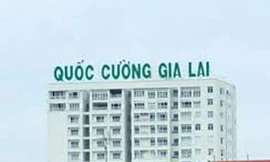 Vì đâu Cty nhà 'Cường đô la' gặp hạn?