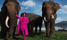 H'Hen Niê diện trang phục rực rỡ sắc màu, tạo dáng bên voi Tây Nguyên