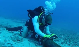 Thời điểm hiện tại, cả 2 tuyến cáp quang biển AAG và IA đều đang gặp sự cố. (Ảnh minh họa: Internet)