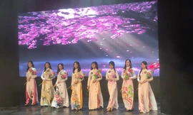 Thí sinh Đại sứ Hoa Anh Đào tất bật tổng duyệt trước 'giờ G'.