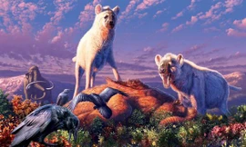 "Đối với tôi, điều hoàn toàn đáng chú ý là chúng đã sống ở phía bắc xa xôi", đồng tác giả nghiên cứu, nhà nghiên cứu cổ sinh vật học Grant Zazula cho biết.