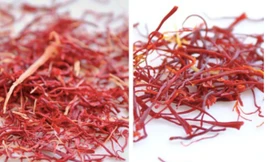 Nhuỵ hoa nghệ tây thật (phải), nhuỵ hoa nghệ tây giả (trái).