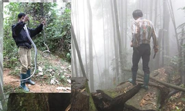 Theo chia sẻ của “phường săn rắn”, để bán rắn được giá thì nhất thiết phải bắt sống (ảnh nhỏ). Để bắt được rắn độc có giá thành cao, các tay săn thường lùng sục ở các bụi rậm, hang hốc nơi rắn trú ngụ. Ảnh: Nhật Tân