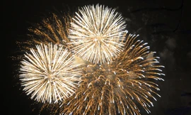 Pháo hoa rực rỡ chào năm mới Nhâm Thìn