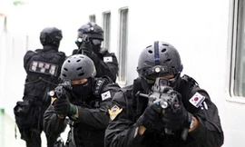 Mỹ - Hàn tập trận hai tuần