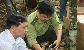 Việt Nam nhận 71 cá thể rùa cực kỳ quý hiếm