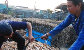 Cuộc chiến 70.000 tấn đường giá rẻ