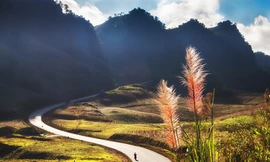 Ngắm xuân sớm với Khoảnh khắc Việt Nam