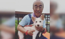 Hình ảnh “Vua hài Nhật Bản Ken Shimura” vật lộn với COVID-19 đến khi trút hơi thở