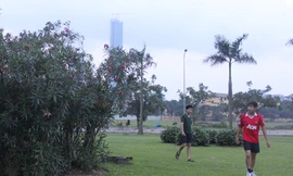 Nếu có yêu cầu, sẽ thay cây trúc đào