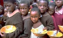 Cảnh bảo nguy cơ khủng hoảng lương thực