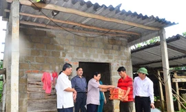 Ngày 1/10, Chủ tịch tỉnh Quảng Trị Nguyễn Đức Cường và lãnh đạo Chi nhánh BIDV Quảng Trị đến thăm, động viên các gia đình có thân nhân bị thương, nhà bị sập ở huyện Vĩnh Linh