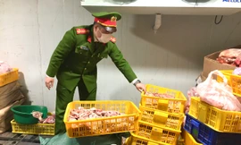 Phát hiện 7 tạ thịt lợn nhiễm dịch tả Châu phi được tích trữ để bán 