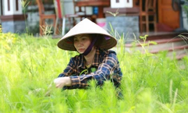 Chị Mai mở hướng giúp hàng trăm gia đình làm giàu từ trồng cây công trình