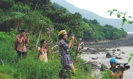 Cuộc chiến săn ảnh 'Ông bà Smith' ở Côn Đảo