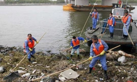 Các nhân viên thu gom xác lợn chết trên sông ở Thượng Hải