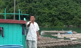 Canh bạc sứa đỏ độc nhất vô nhị