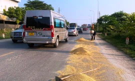 Mùa gặt về, thóc lại đầy quốc lộ, đồng ruộng bắt đầu hun khói 