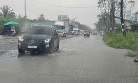 Cần Thơ bất ngờ có 'mưa vàng' giải nhiệt giữa mùa khô hạn