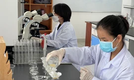 Sinh viên tại TP.HCM trở lại trường: Kết hợp hai hình thức học, ưu tiên sinh viên năm cuối