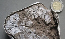 Người nguyên thủy biết làm giường ngủ chống muỗi