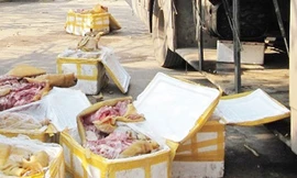 Thịt lợn thối trên xe khách