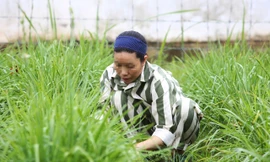 Giúp những người lầm lỡ vượt qua định kiến, tái hòa nhập cộng đồng