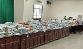 Triệt phá đường dây vận chuyển hàng tấn cần sa về Việt Nam 