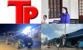 Bản tin Hình sự: 'Thầy tướng số' lừa kêu gọi góp vốn gần 270 tỉ đồng