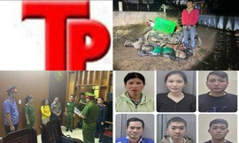 Bản tin Hình sự: Cựu giám đốc phòng giao dịch lừa đảo hàng chục tỷ đồng