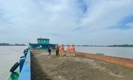 Bắt giữ 6 tàu chở hơn 2.600 tấn cát không rõ nguồn gốc 