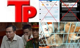 Bản tin Hình sự: 3 người trong một gia đình cùng lĩnh án vì làm giả sổ đỏ