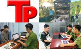 Bản tin Hình sự: Nhiều người ‘sập bẫy’ lừa đi lao động, định cư ở Mỹ