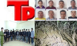 Bản tin Hình sự: Công an truy tìm lái xe ô tô trong vụ tai nạn chết người trên quốc lộ